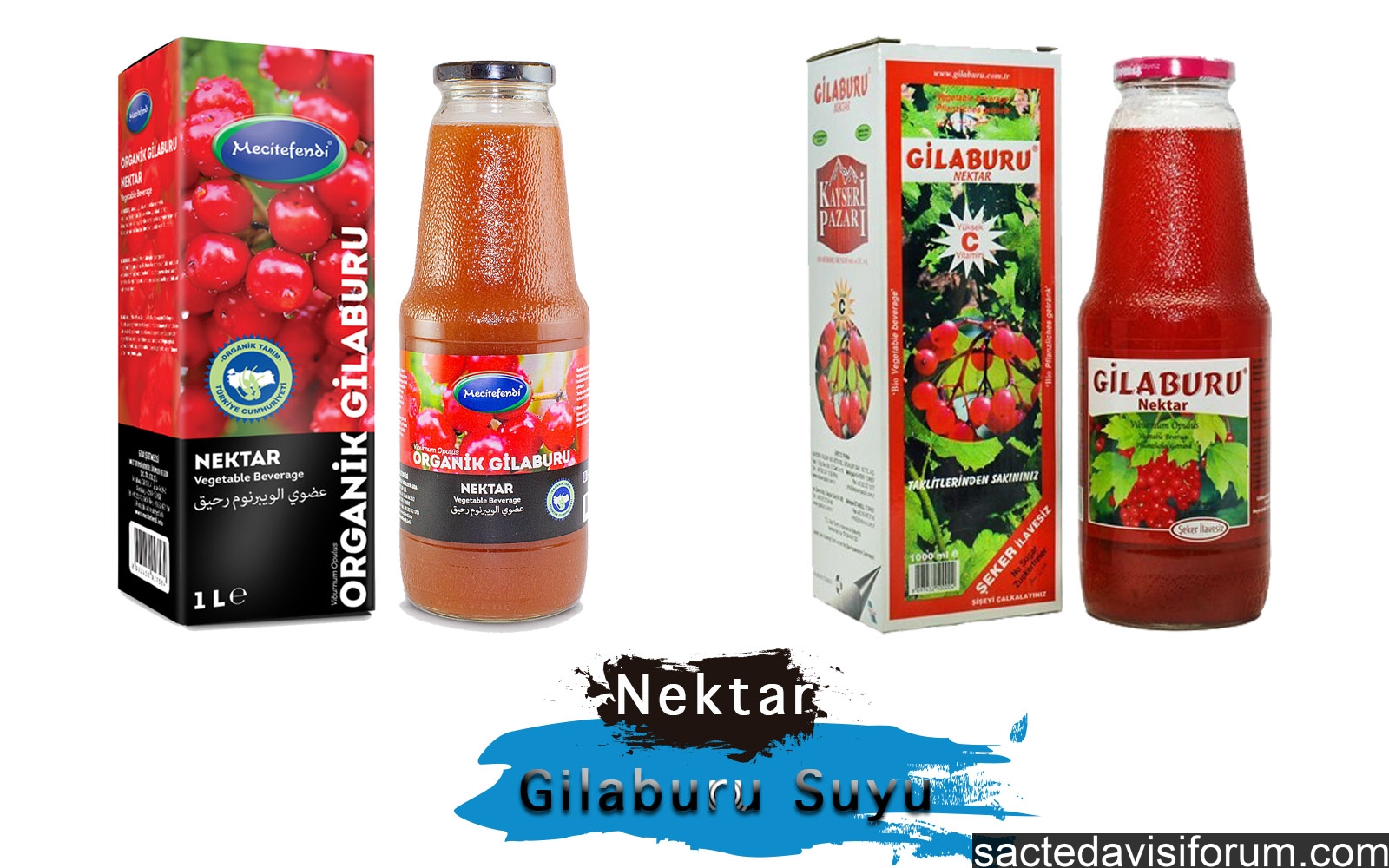 gilaburu suyu.jpg